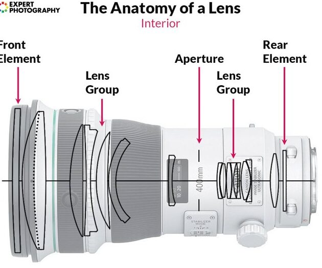 Guía de lentes de cámara (cómo funcionan las lentes y explicación de 8 tipos)